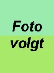 foto_volgt
