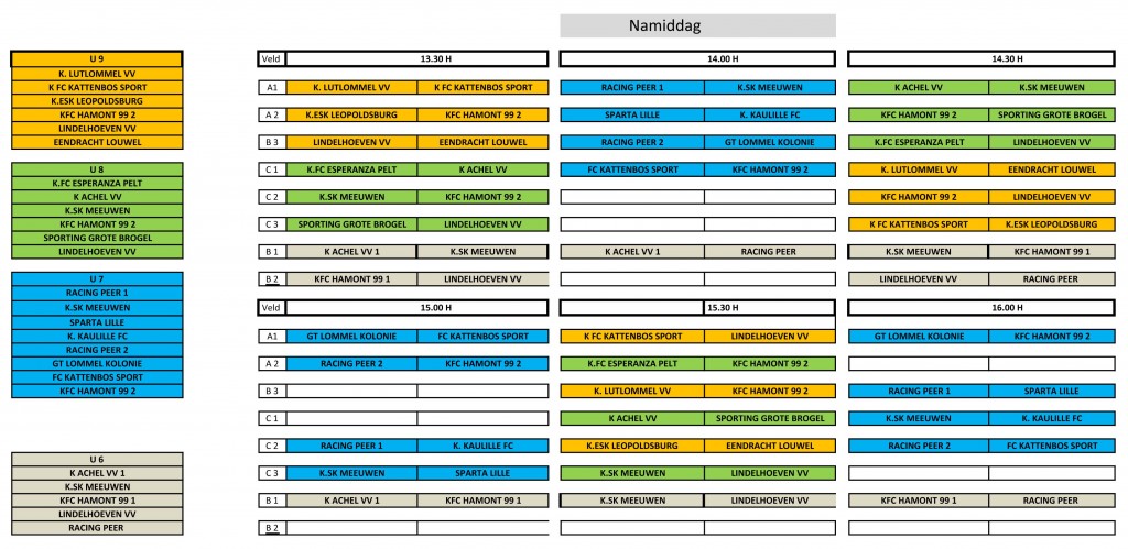 Programma namiddag (klik om te vergroten)